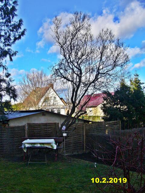 6  10.2.2019 - Sonntagsbilder - Fliederbaum (6) !  Temp: 7:18 / 1,7°C plus und 10:22 plus 2,8°C /  Es werden Höchsttemperaturen von 10° (gefühlt: 7°) und mäßiger Wind (26 km/h) aus Südsüdwest mit stürmischen Böen (63 km/h) erwartet. Es kommt zu Niederschlagsmengen von 5 - 10 l/m², die Niederschlagswahrscheinlichkeit beträgt 99%, die Sonne scheint nicht.
Unwetterwarnung
In Böen starker bis stürmischer Wind mit einzelnen Sturmböen bis 88 km/h (entsprechend Windstärke 8 bis 9) !