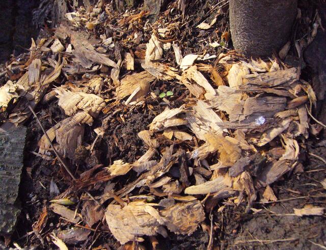 Wo gehobelt wird, da fallen auch Späne.