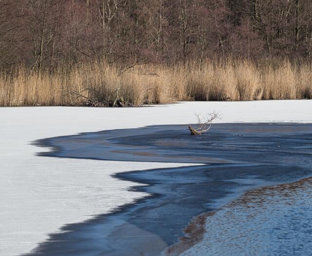 Uferlandschaft