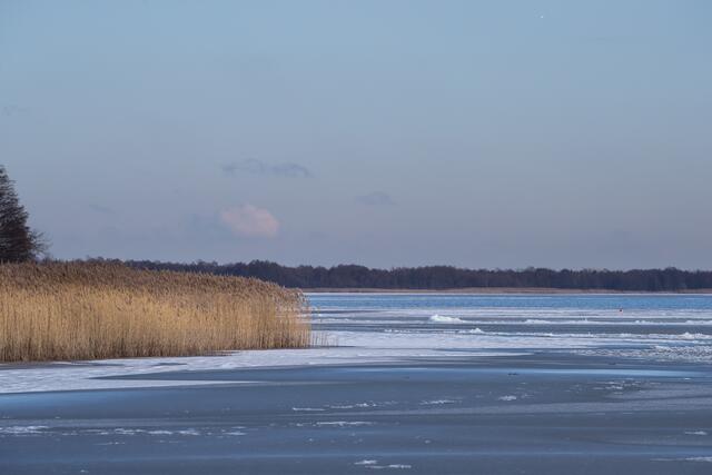 Uferlandschaft im Norden