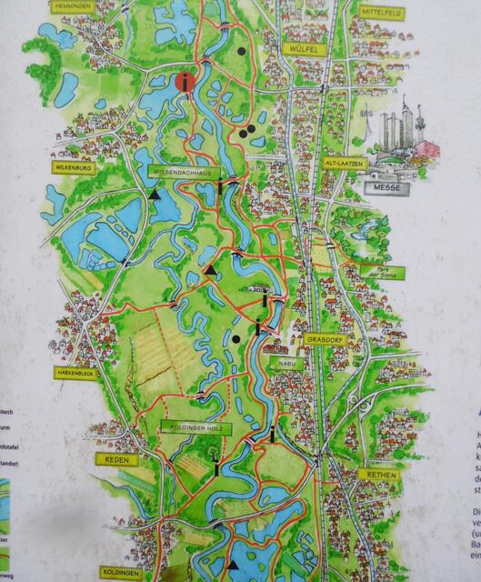 Das Biberland zwischen Koldingen und Wülfel im Urstromtal der Leine.