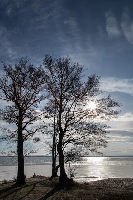 Uferlandschaft