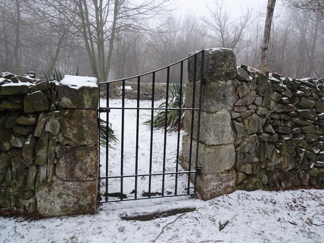 Buttlars Grab mitten im Wald