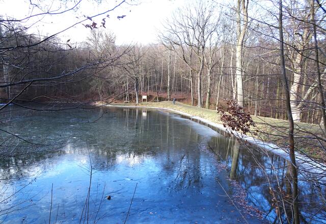 durch die dünne Wasserschicht über den gefrorenen Kleinen Siebersteinsteich spiegelt sich wunderbar der blaue Himmel