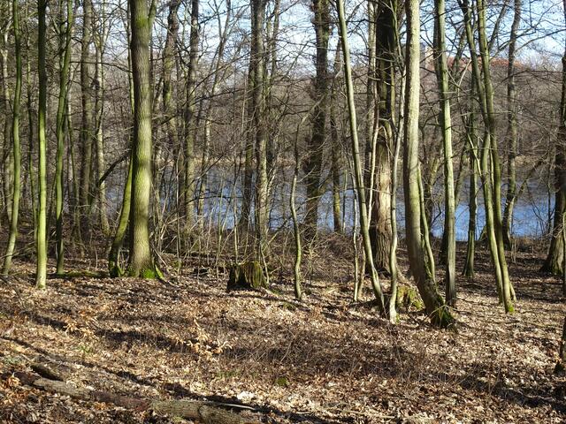 Blick auf den Glockenteich