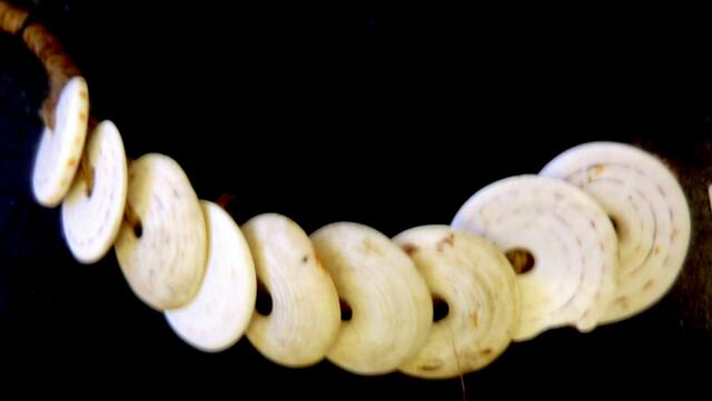 Konusschneckenscheiben: Münzen von den Fijiinseln