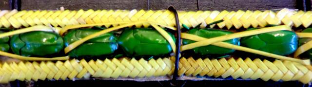 Grüne Schillerkäfer vom Hochland  Papua Neuguineas