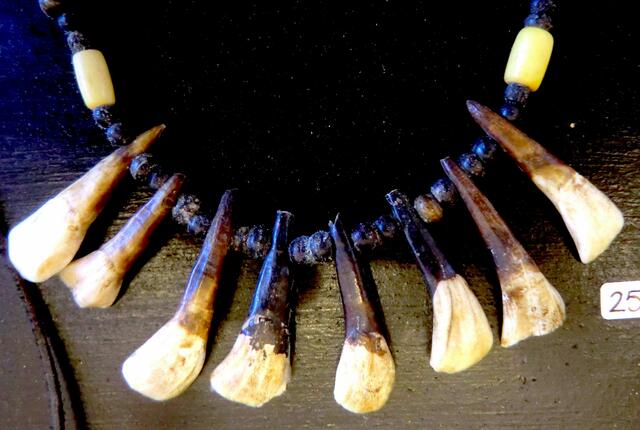 Antilopenzähne und schwarzblaue  Glasperlen aus dem Kongo