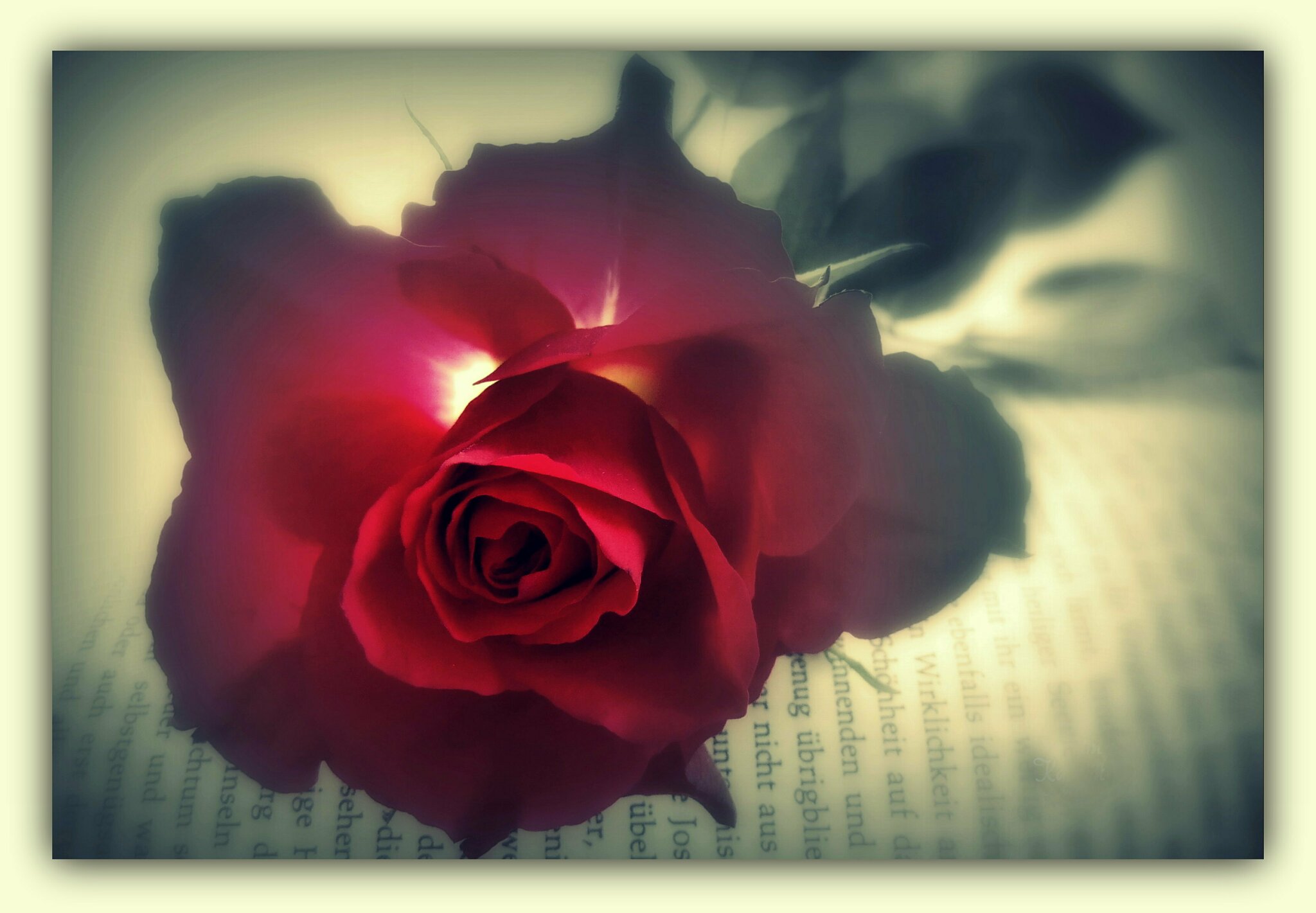 Nicht nur zum Valentinstag. - Hamm (NW) Nicht nur zum Valentinstag. - Hamm (NW)