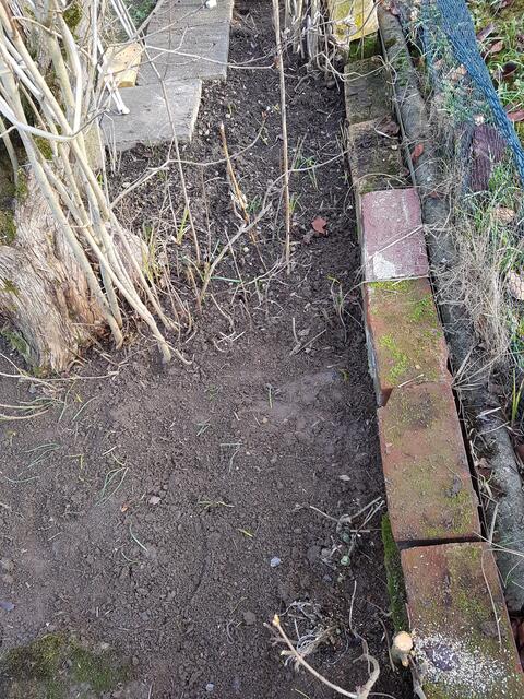 Hier muß noch etwas getan werden mit Unkraut und wurzeln zu befreien !