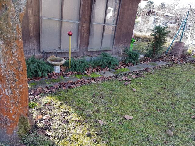 Der Sturm und der Wind hat sie --das Laub an alle Ränder geweht !