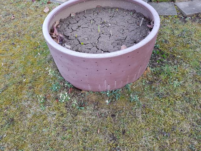 im großen Pott da tut sich was.....