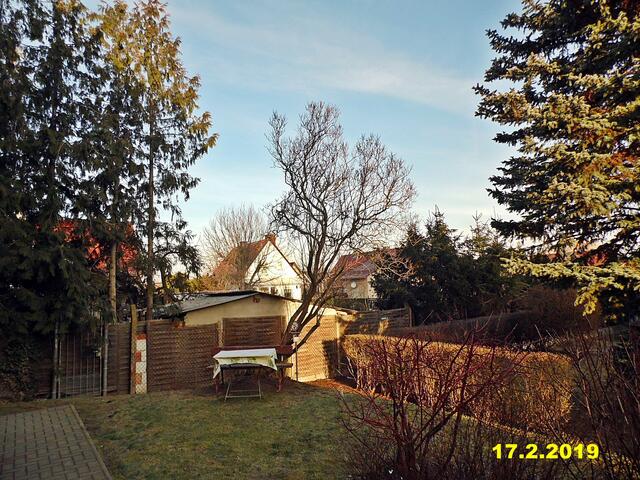 7  17.2.2019 - Sonntagsbilder - Fliederbaum (7) ! Temp: 7:28 / 2,4°C minus und 10:22 plus 2,8°C / Es wird sonnig, dabei gibt es 7,5 Sonnenstunden. Der UV-Index beträgt 1. Es werden Höchsttemperaturen von 15° (gefühlt: 14°) und schwacher Wind (13 km/h) aus Südwest mit mäßigen Böen (26 km/h) erwartet. Es kommt zu Niederschlagsmengen von 0 l/m², die Niederschlagswahrscheinlichkeit beträgt 7%,