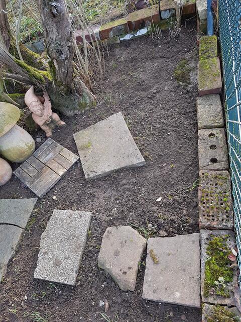 Auch wenns nur eine kleine Ecke ist,an der Gartengrenze-so war es doch ne Zeitfressende Arbeit alles von Unkraut, Dornenpflanzen und Schilfgraswurzeln frei zu bekommen und das alte Laub zu entfernen !