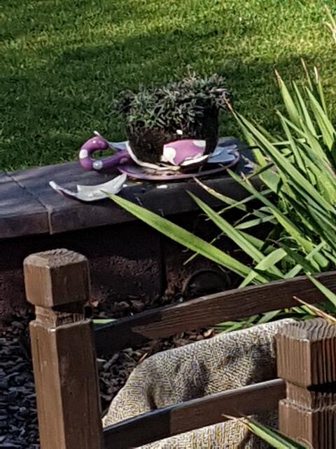 das war eine große Kaffeetasse mit Bepflanzung. die hatte ich meinen Gartennachbarinnen geschenkt, weil ihnen die Farbe und die große Tasse so gut gefallen hat. Sie haben es aber vergessen über Winter in ihr Frostsichers Häuschen zu stellen----und so hat der gefräßige Frost diese aufgefressen und zerstört