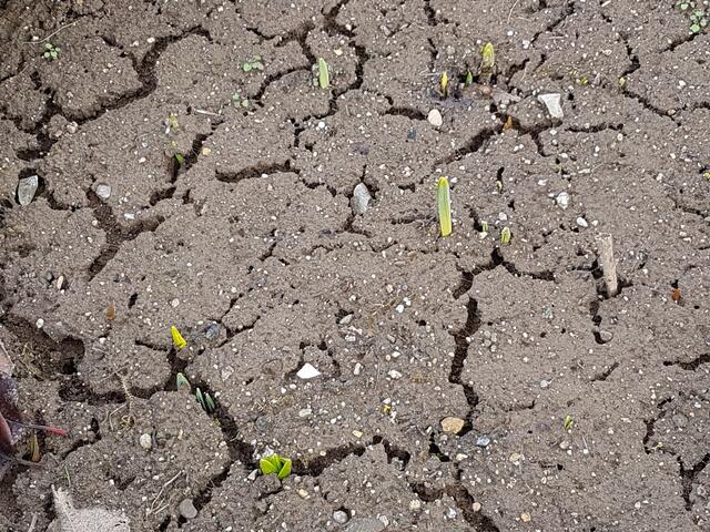 und so siehts mitten im Pott aus, da tut sich was !