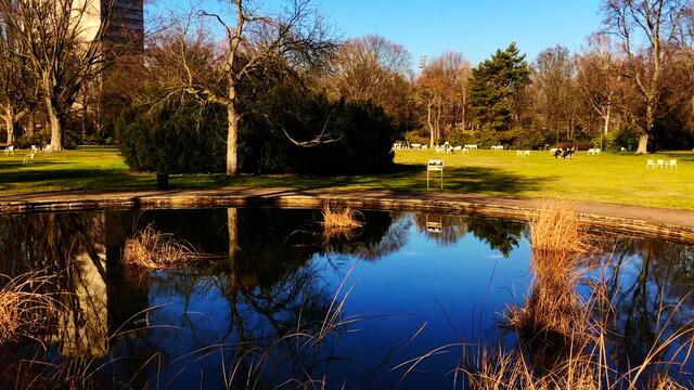 16. Februar 2019.  I. Im Stadtpark Hannover am Congress Center.