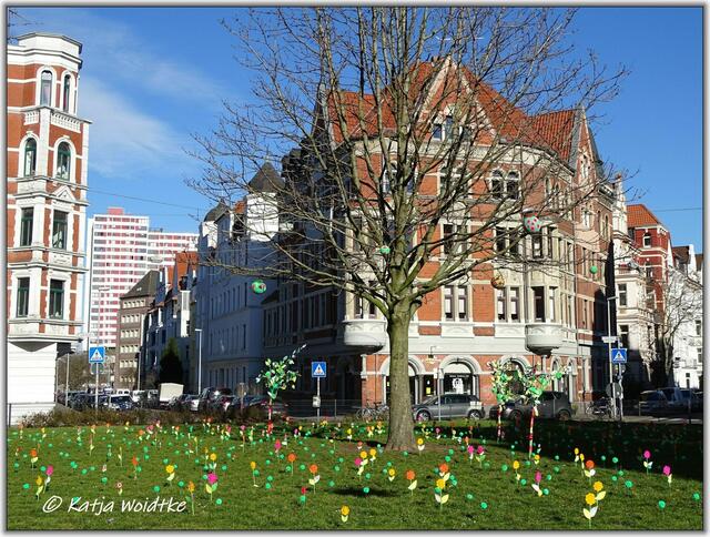 Von der Wintersonne beschienen - "Frühlingserwachen" am Lichtenbergplatz (Foto: Katja Woidtke)