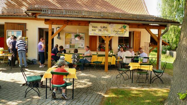 Vom 18. bis 30. Mai 2019 öffnet dieses Jahr auch wieder das Orchideen-Café in Krawinkel .... !