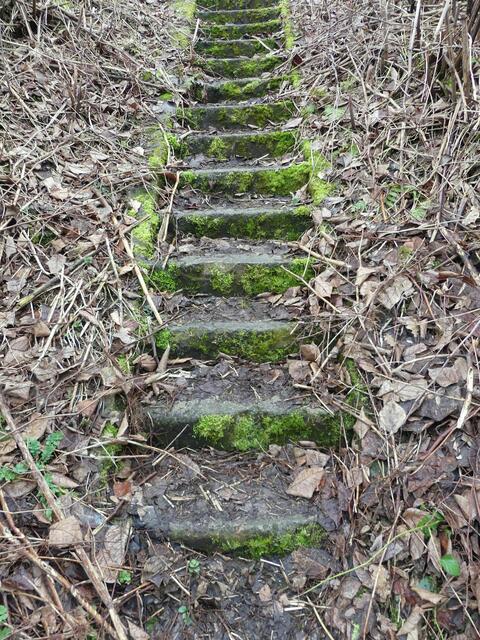 Treppe zum Gleis