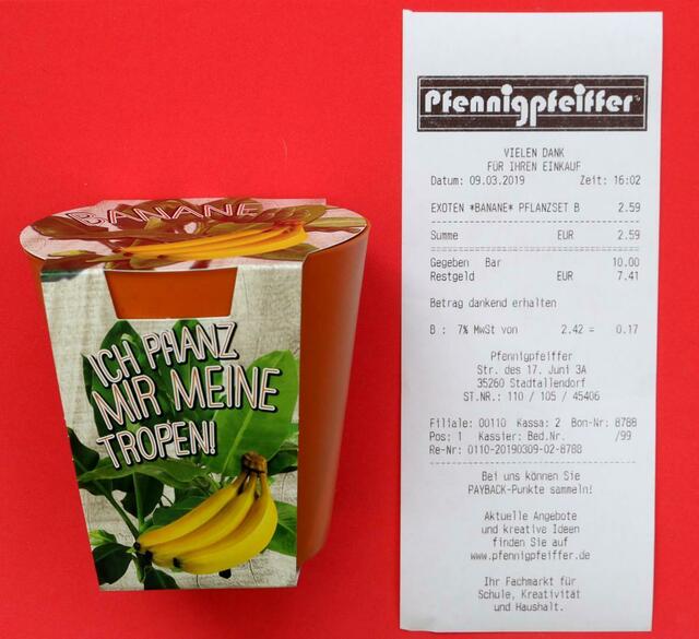 Vorletzter Verkauf: Aus diesem Becher soll eine Bananenstaude wachsen.