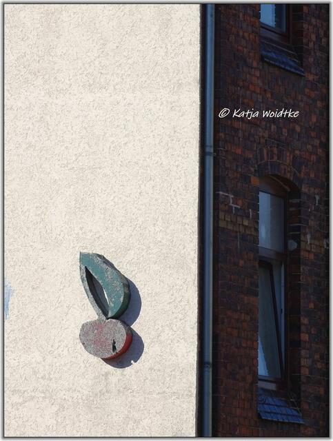 Kirsche in der Nieschlagstraße in Hannover - Linden-Mitte (Foto: Katja Woidtke)