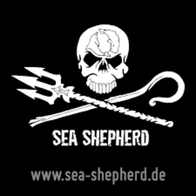 Die Beträge aus der Plastikkasse gehen an Sea Shepherd | Foto: Sea Shepherd