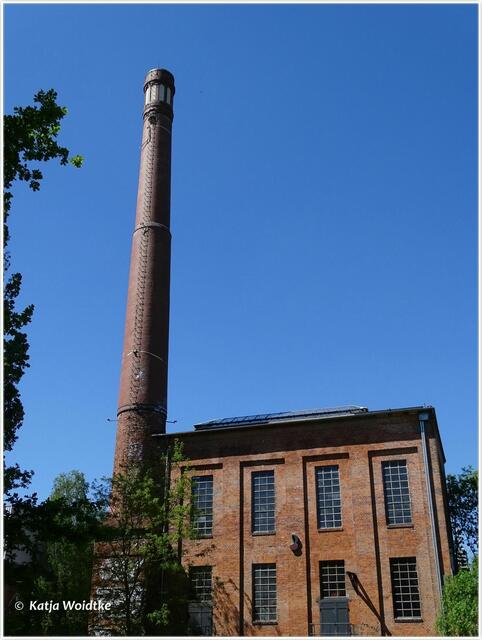 Kirsche am Kesselhaus auf dem Gelände des Kulturzentrums Faust in Hannover - Linden-Nord (Foto: Katja Woidtke)