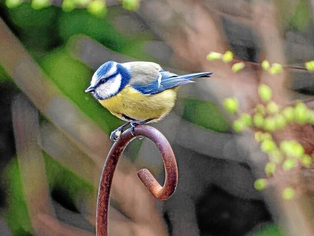 "Du siehst es doch, ich habe mächtigen Hunger!" "Was?" "Ja, und Angst habe ich auch?" "Wovor hast du denn Angst?"