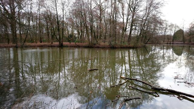 Im Stadtpark: Der Wechsel von Eis- und Wasserflächen ermöglicht interessante Spiegelungen.