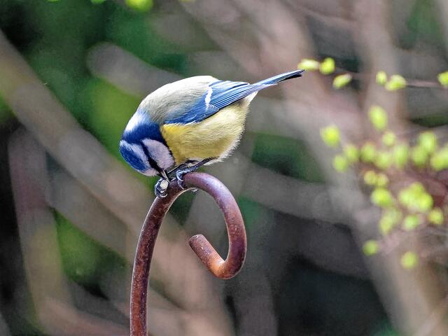 "Eigentlich ist es nur EIN einziges ganz starkes Gefühl!"
