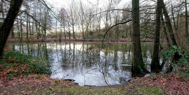 Spiegelungen in den Stadtparkteichen