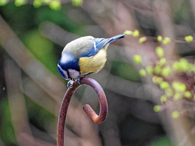 "Kannst du mir denn dein Gefühl genauer benennen?"