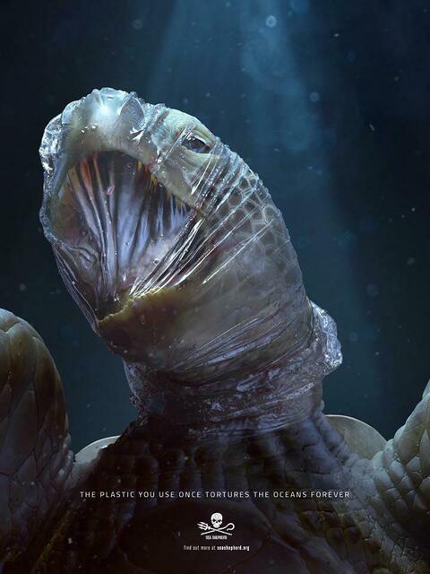 Nicht schön anzusehen aber real! | Foto: Sea Shepherd