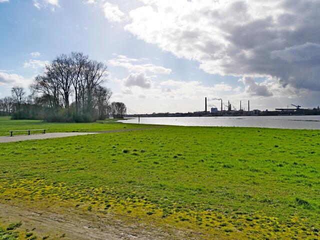 Einfach nur Himmel und Wiese...