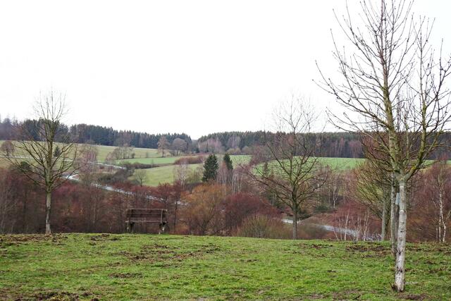 schöner Blick vom Parkplatz an der Langen Straße in Allrode, in der Senke fließt die Luppbode