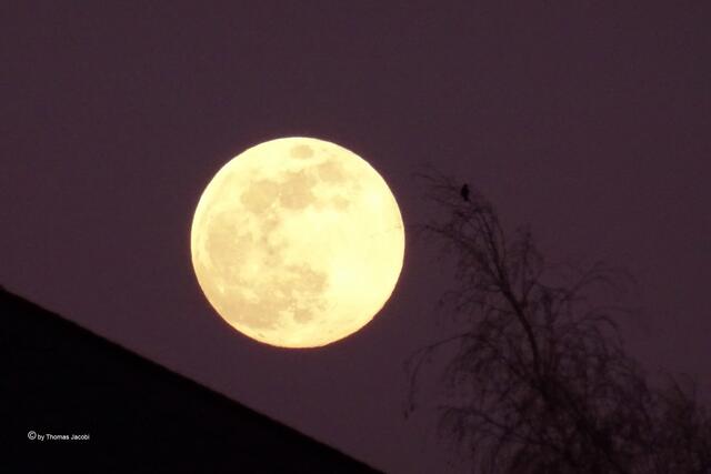 Der Mond knapp über den Dächern.