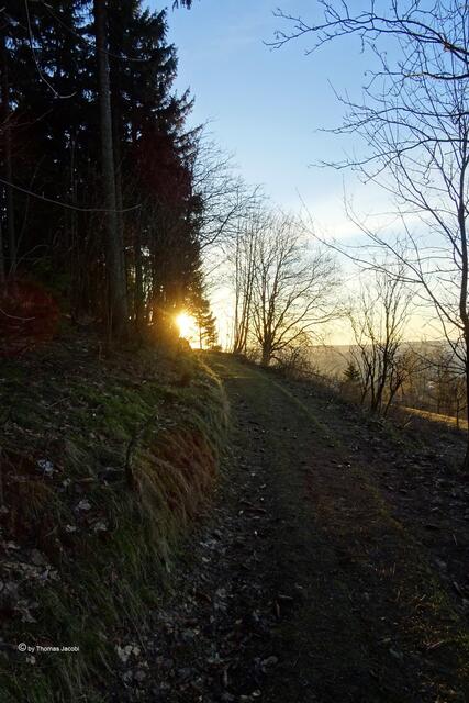 Der Abendsonne...