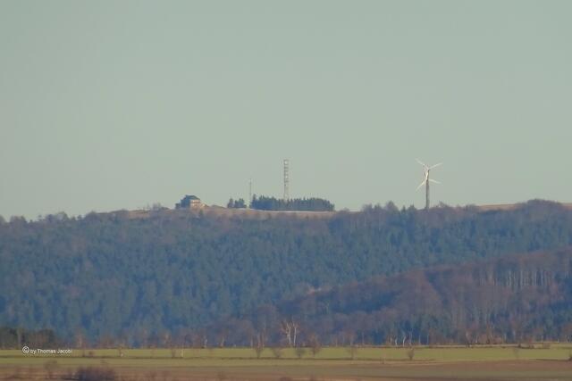 Hirtstein