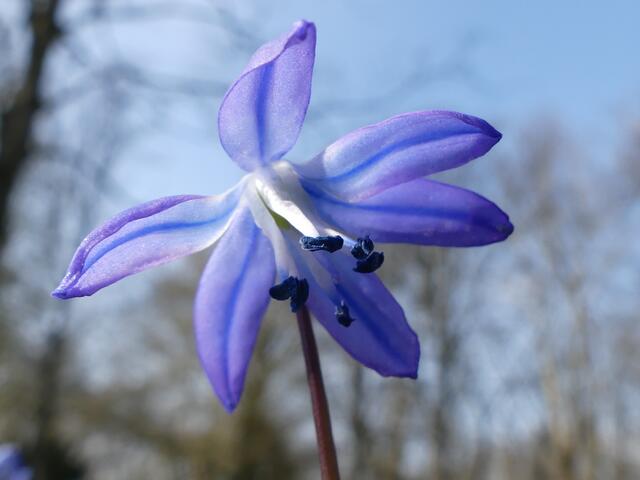 Blau gegen blau