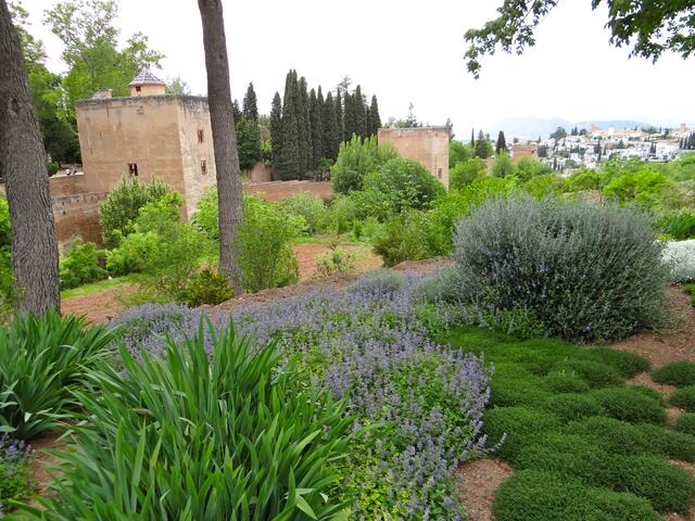 Blick von Generalife auf die eigentliche Alhambra