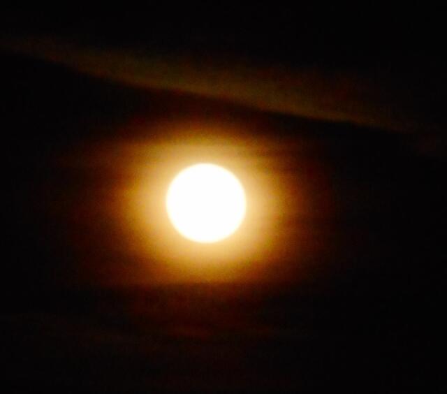 ... und dieses Bild mit meiner NIKON COOLPIX A300 (ebenfalls ohne Stativ).