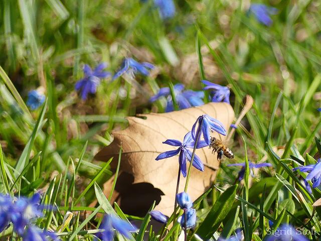 ...in der Schwebe...