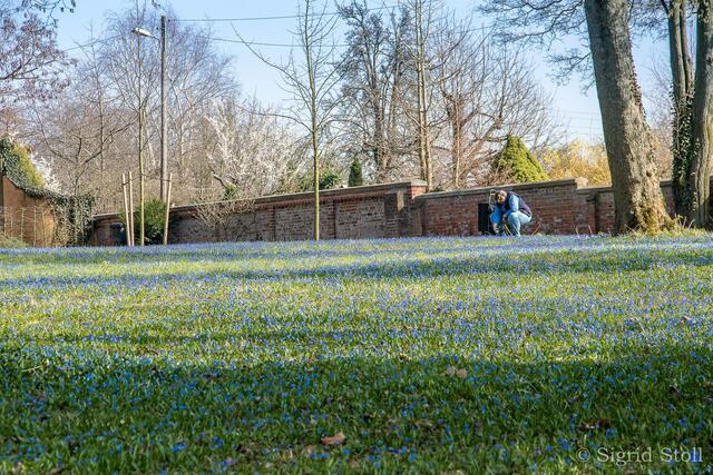 ...volle Konzentration beim Fotografieren...