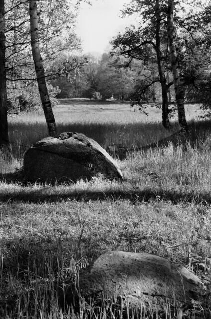 Findlinge beim Annateich