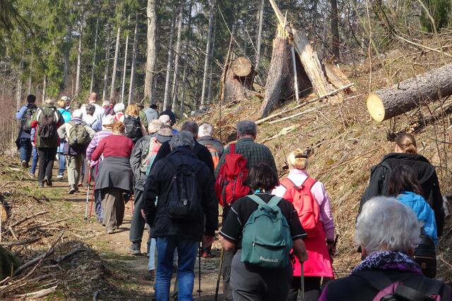 auf dem Klippenweg zum Luisentempel, auch hier hatte das Sturmtief Friedericke volle Arbeit geleistet