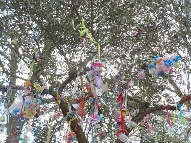 Schnullerbaum