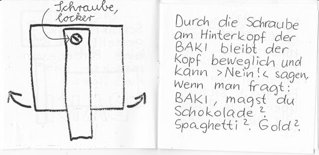 Kurzinformation BAKI, Seiten 10 und 11