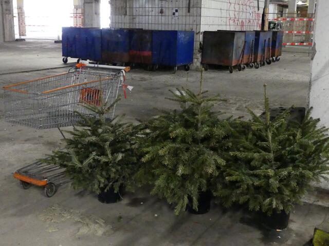 Ja, ist denn heut' schon Weihnachten?