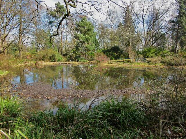 Im Moorweiher steht wieder Wasser